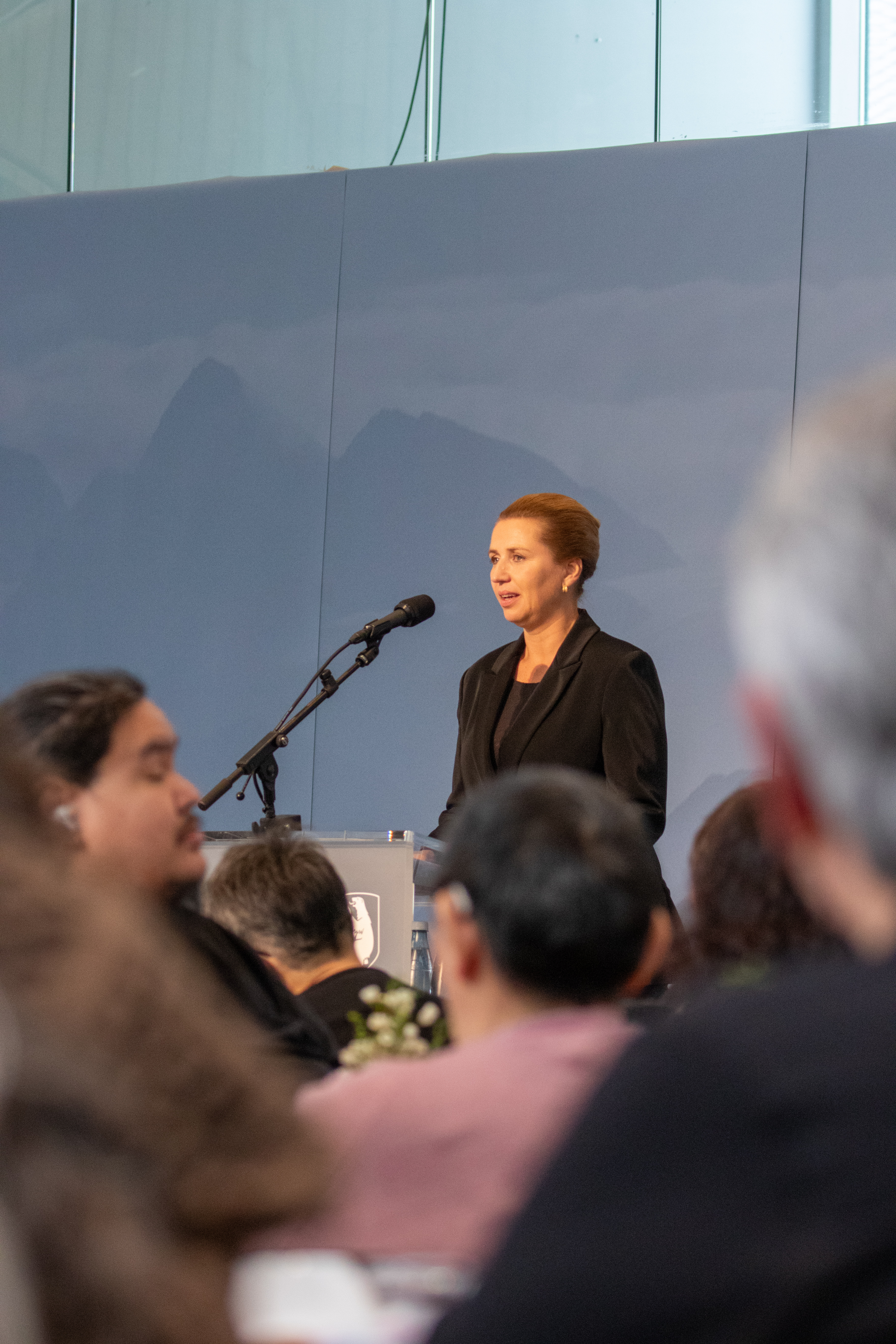 Statsministeren holder tale ved undskyldningsarrangement
